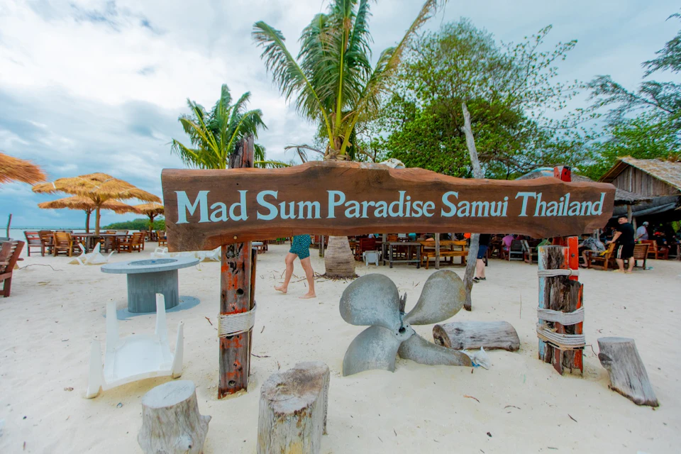 Tan & Pig Islands: Guided Speedboat Tour from Koh Samui + Pink Dolphin Spotting