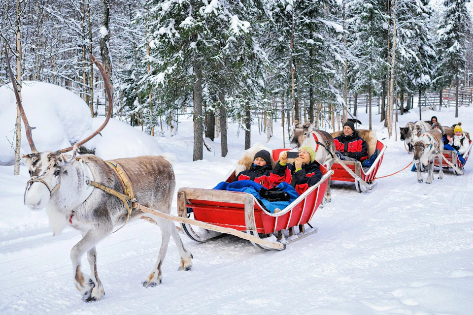 Visit to a reindeer farm