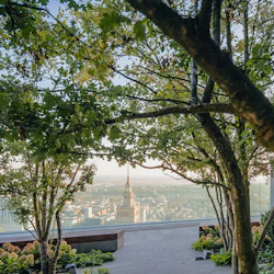Urban skyline sedd genom träd, med växter och blommor i en takterrass under en klar himmel.