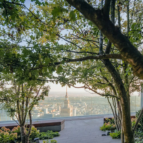 Träd och gröna växter ramar in en stadsbild som ses genom en glasbarriär på en takterrass.