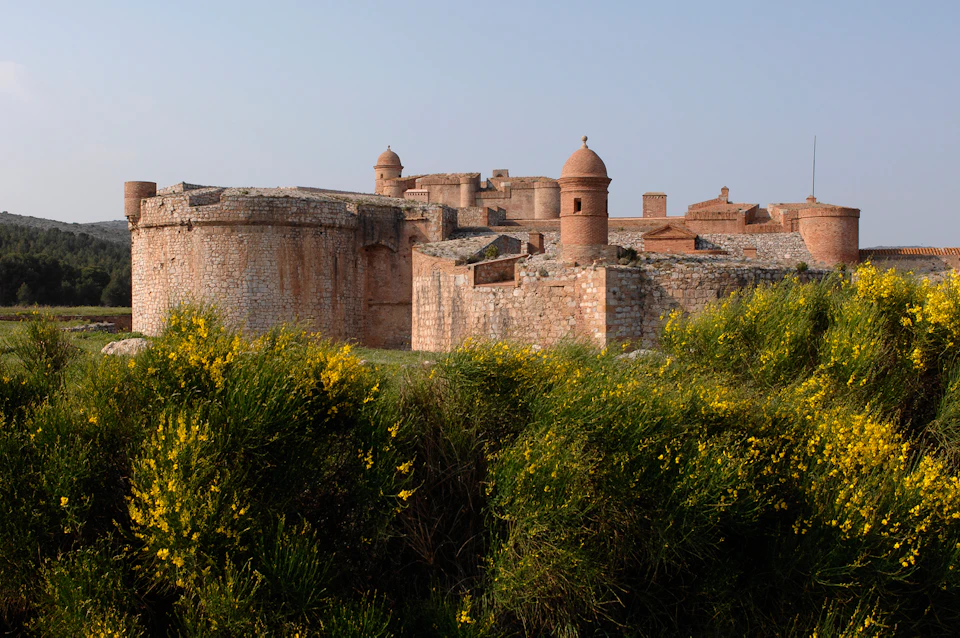 Stone fortress with round towers and domes, partially surrounded by yellow-flowered bushes under a clear sky.