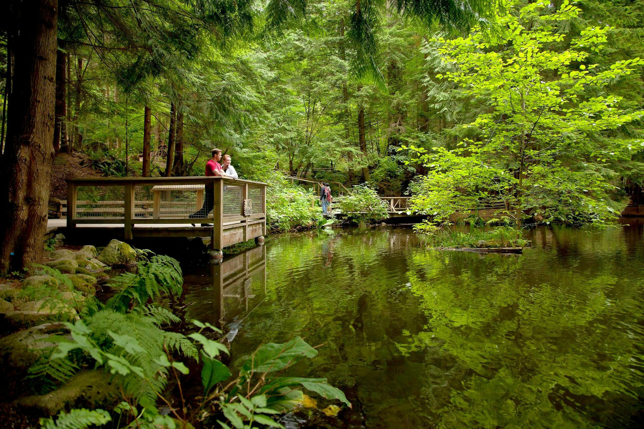 Capilano Suspension Bridge