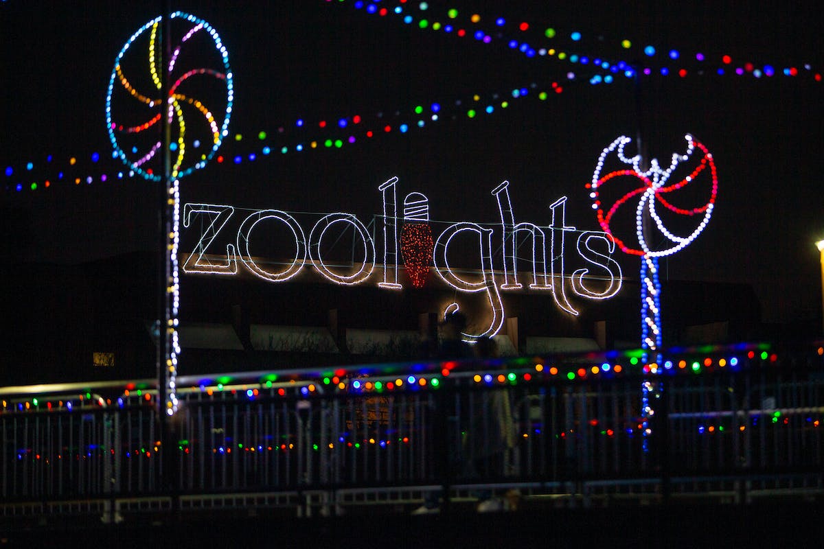 一个夜间标志上写着“zoolights” ，用彩色的绳灯和糖果手杖装饰勾勒出来。 上方悬挂着五彩缤纷的灯光。