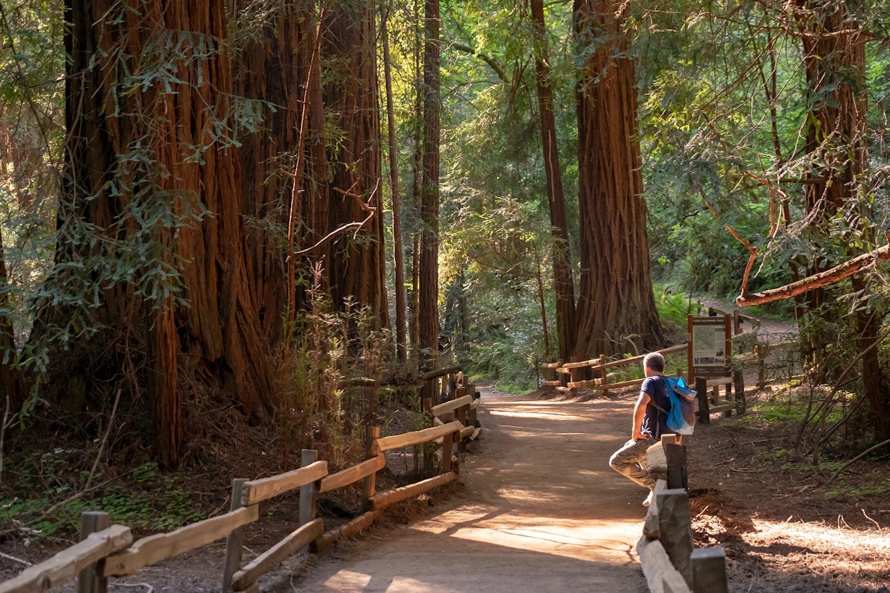 Redwoods & Wine Country: Day Trip from San Francisco - Accommodations in San Francisco