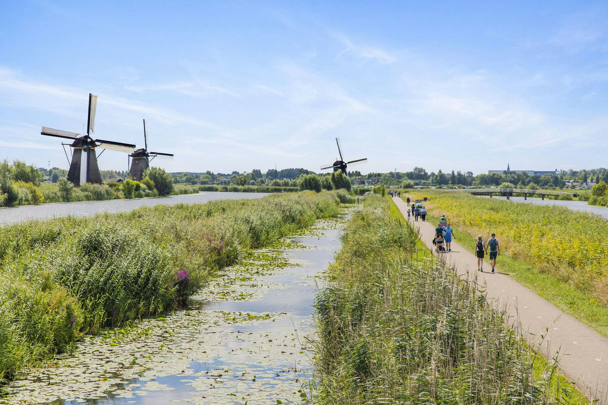 Ein malerischer Weg entlang eines Kanals mit Wasserpflanzen, flankiert von Windmühlen und grünen Feldern, mit Menschen, die unter einem blauen Himmel spazieren gehen.