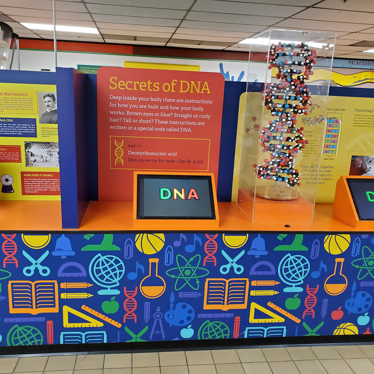 Las Vegas Natural History Museum: Entry Ticket in Las Vegas β Tiqets