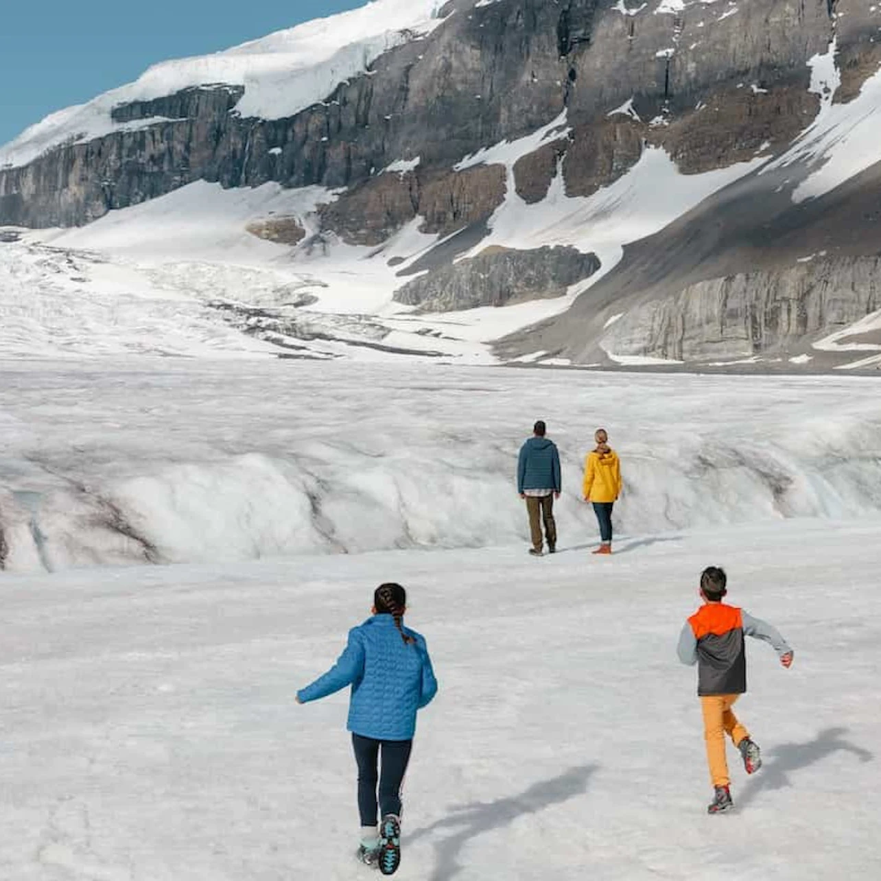 Columbia Icefield Tour