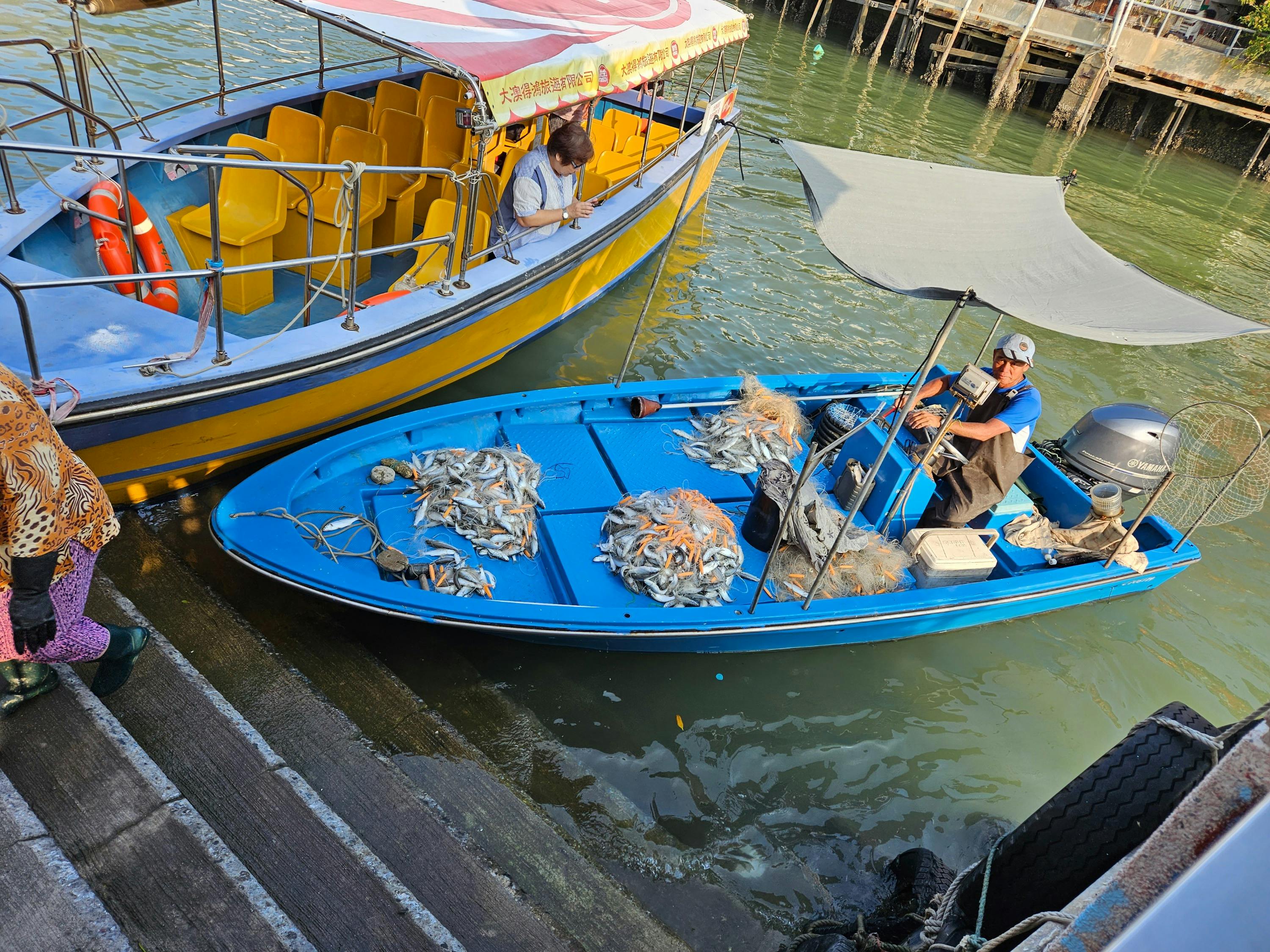 Tai O: Passeio turístico de barco de 20 minutos - Photo 17