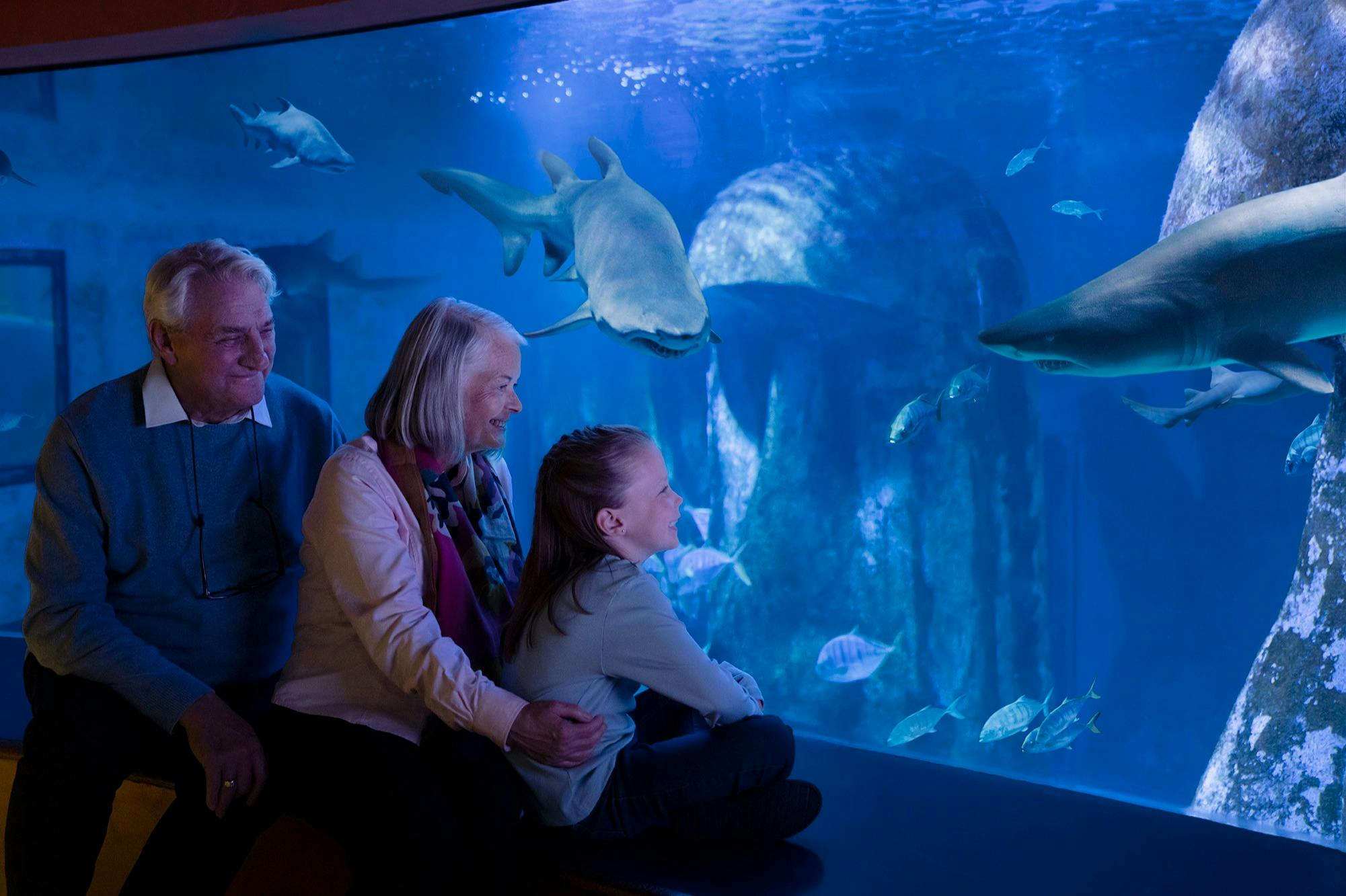 SEA LIFE London Aquarium: Flexible Entry Ticket