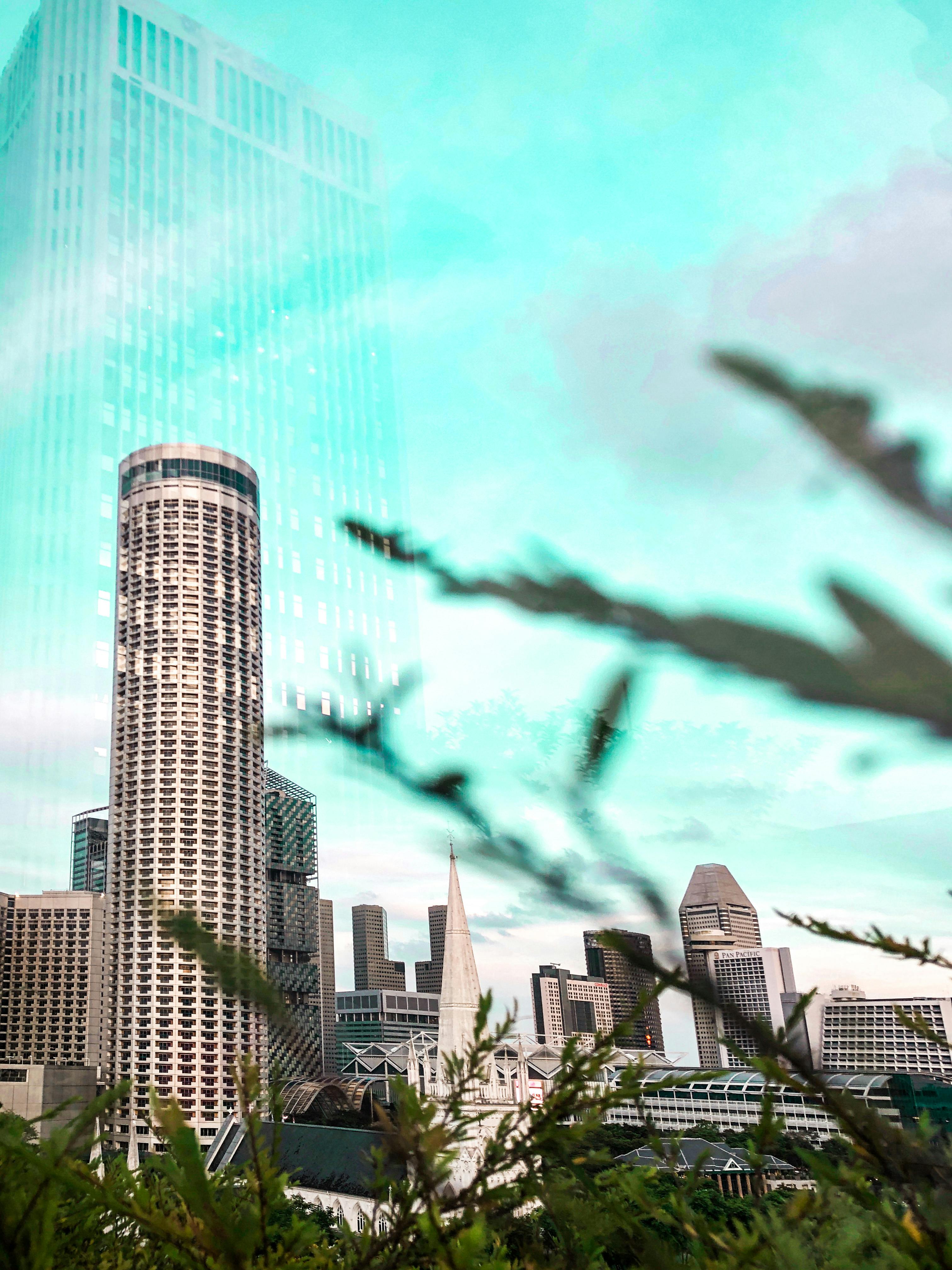 Skyline di una città con edifici alti e moderni, in cui spicca un grattacielo cilindrico; i rami oscurano parzialmente la vista.