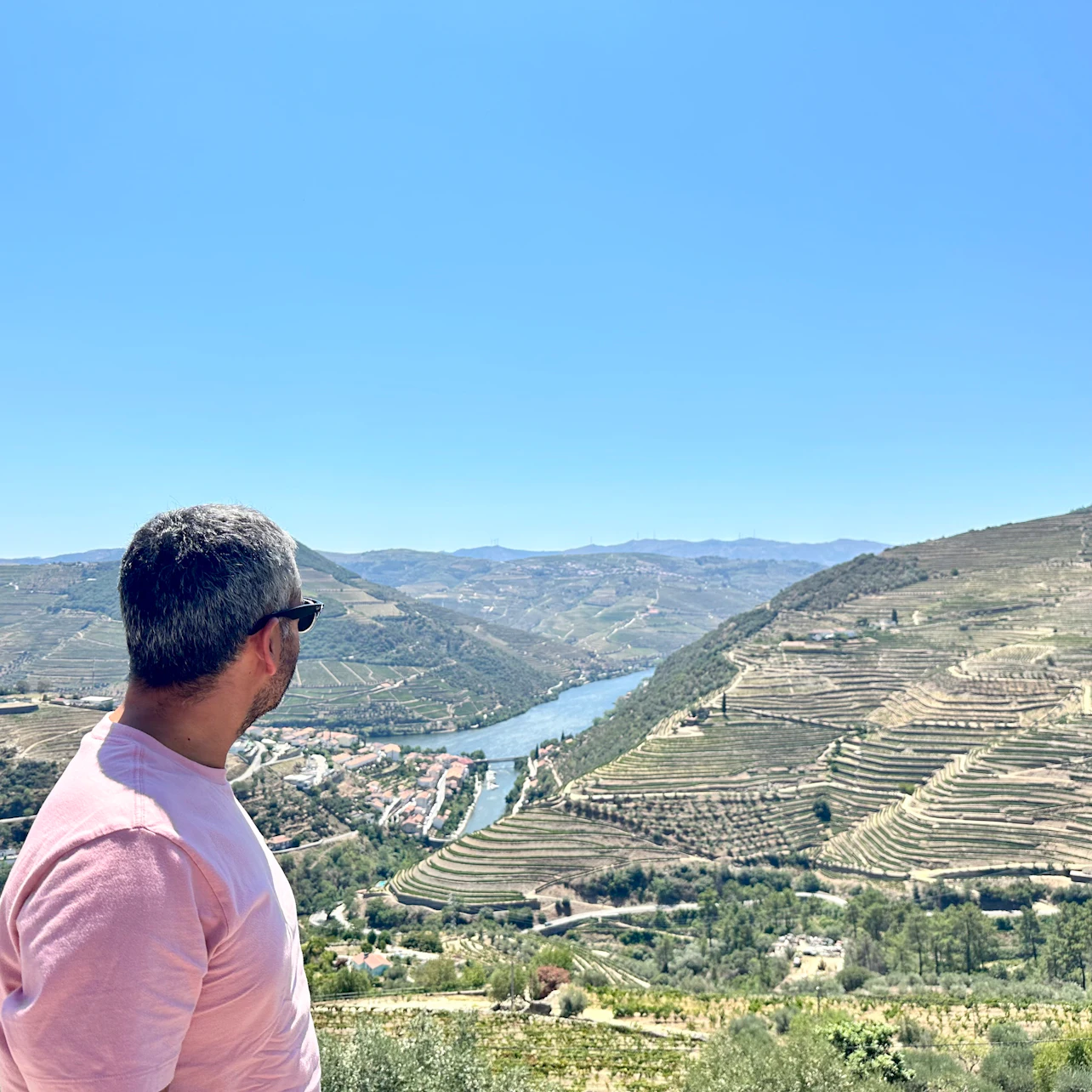 Douro Valley: Day Trip + Wine, Cheese, & Olive Oil Tasting from Porto