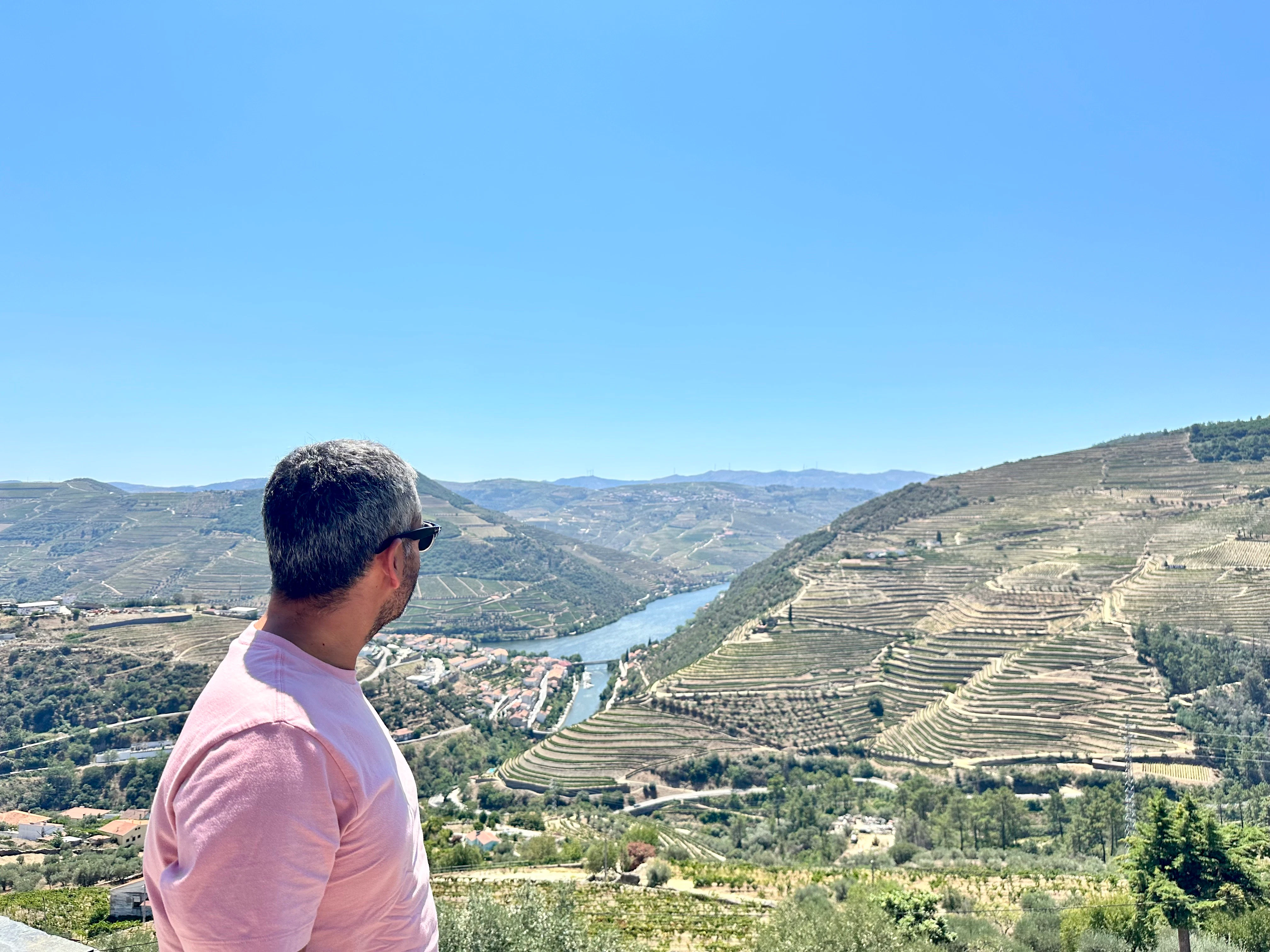 Douro Valley: Day Trip + Wine, Cheese, & Olive Oil Tasting from Porto