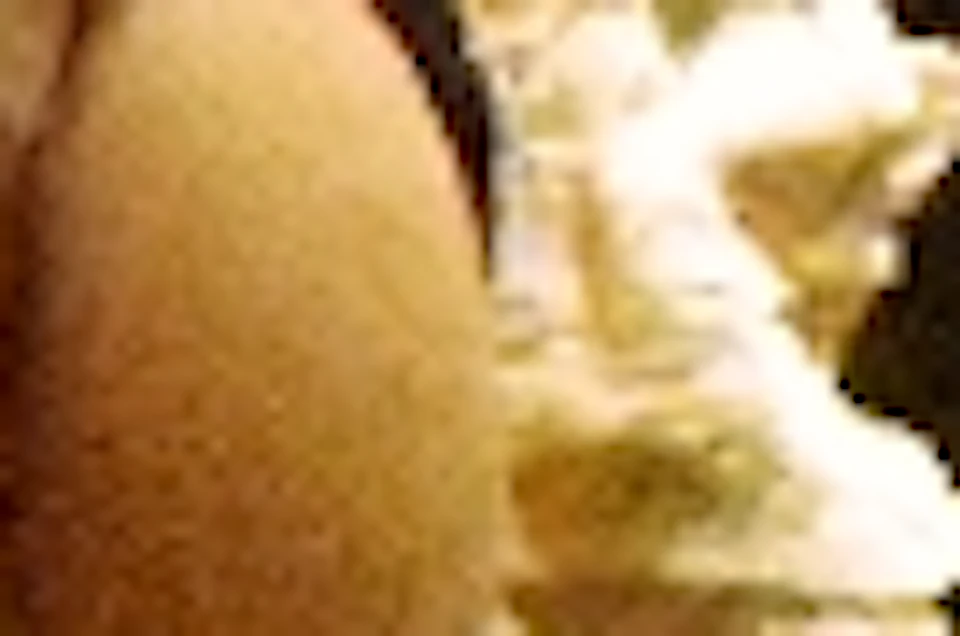 Photo of product