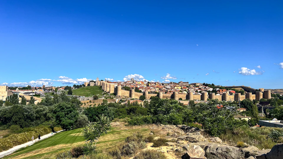 Medieval city with stone walls and towers, surrounded by greenery under a clear blue sky.