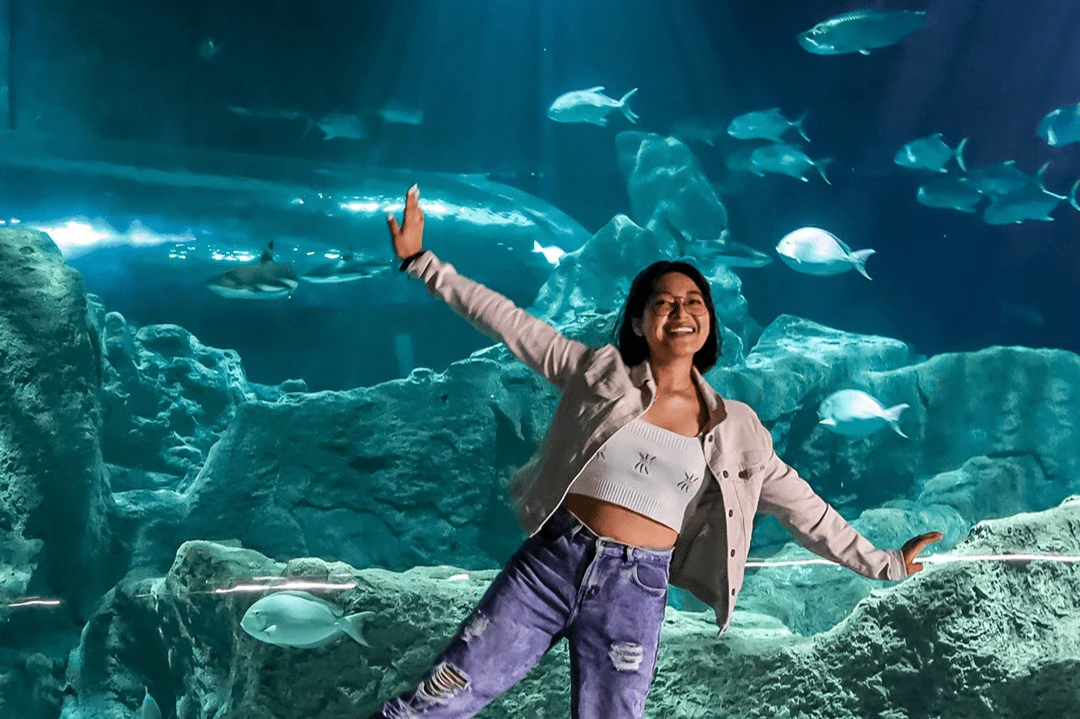 Michin Aquarium Guadalajara: Entry Ticket