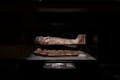 Sarcofaag in de Zaal van het Oude Egypte in het Houston Museum of Natural Science