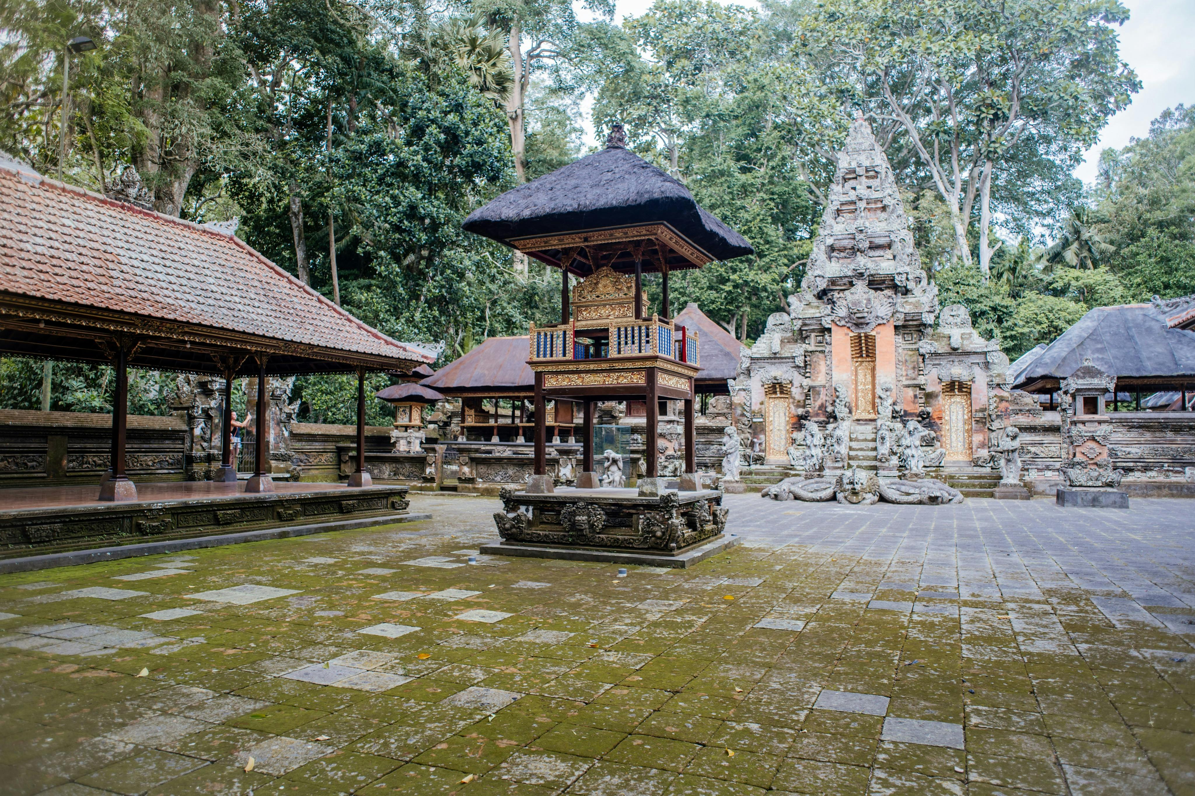 Δάσος Πιθήκων του Ουμπούντ