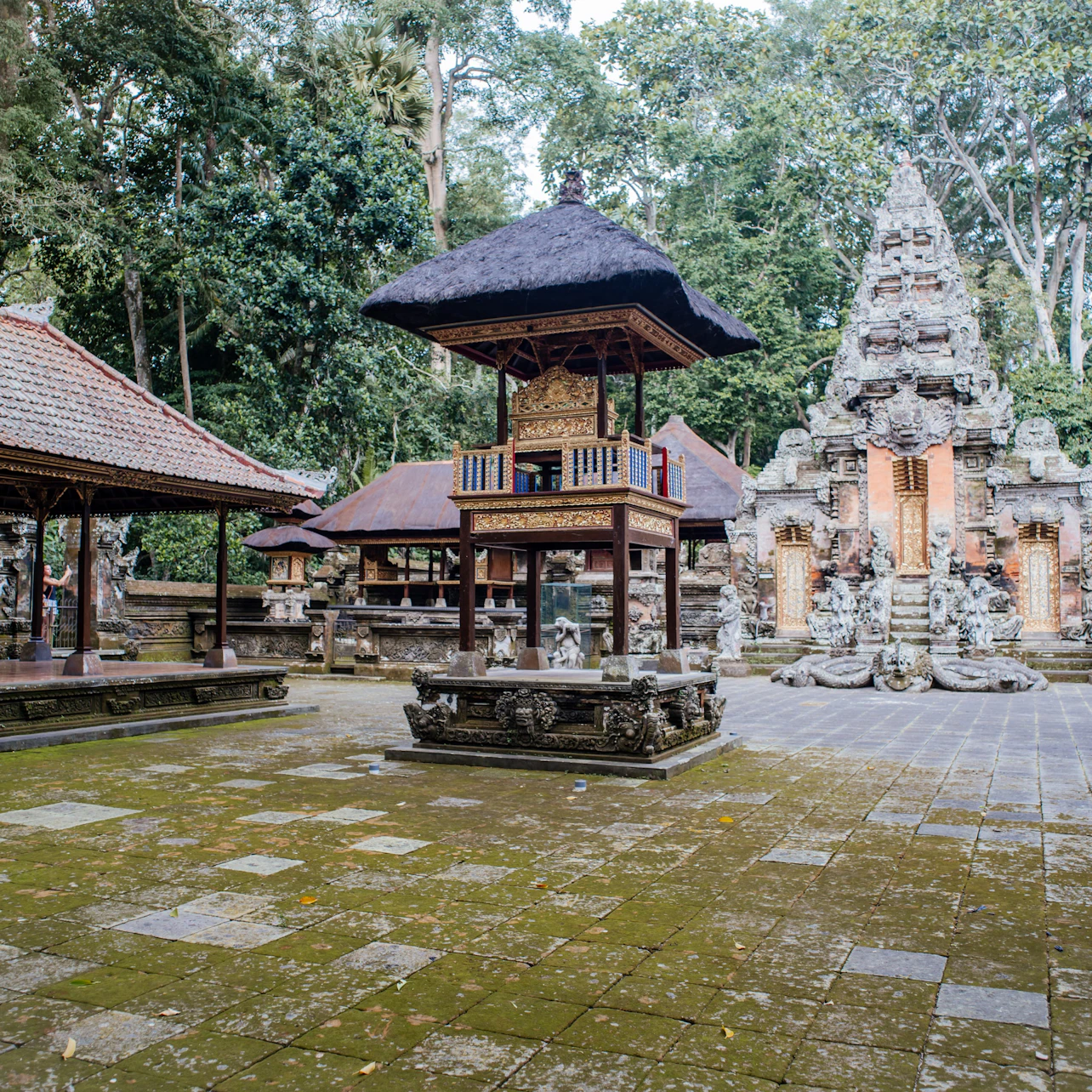Ubud: Guided Nature & Cultural Tour + Transfers in Bali β Tiqets