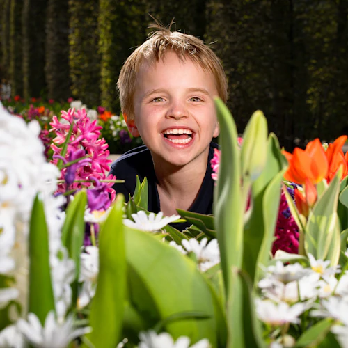 Keukenhof: Entry Ticket + Roundtrip Bus Transfer - Photo 8