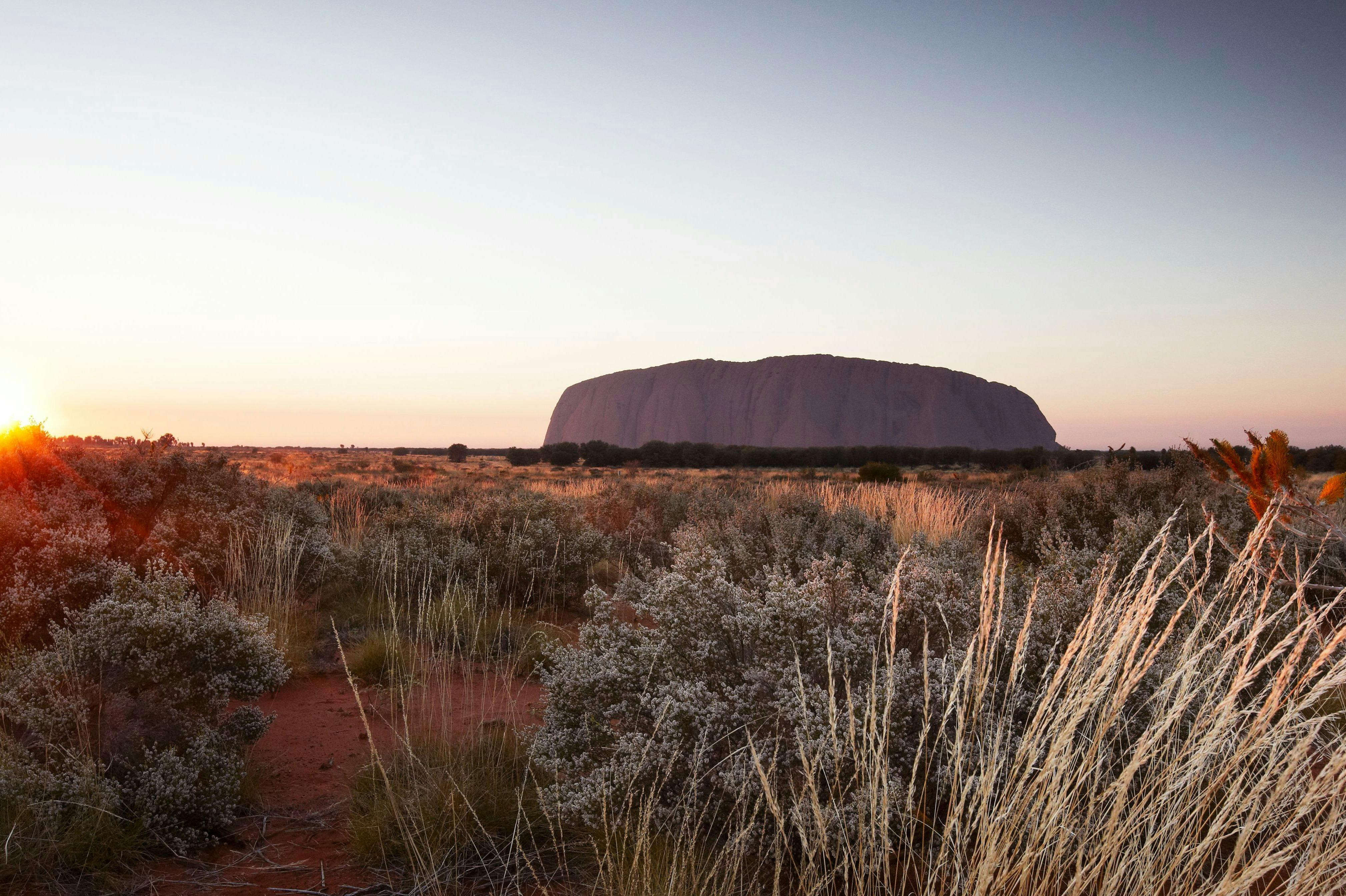 Uluru: Sunrise Tour + Transfers + Audio Guide + Breakfast - Photo 5