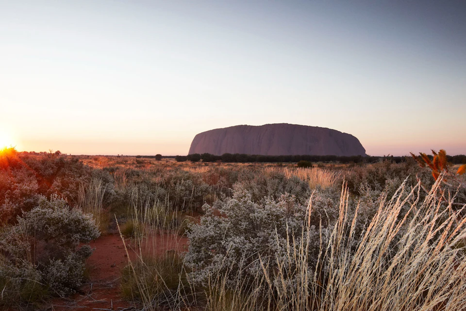 Uluru Sunrise Journeys with Nourishing Breakfast