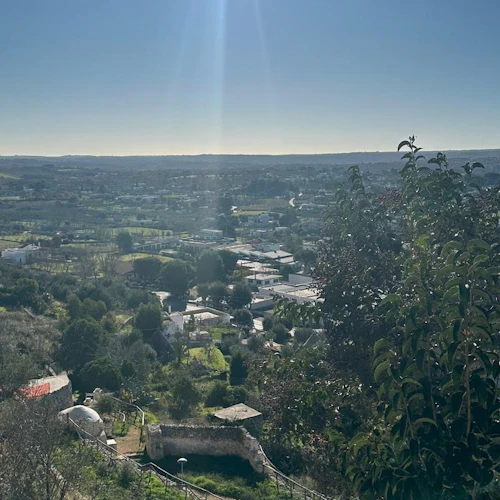 Ostuni, Cisternino e Polignano: excursão guiada para pequenos grupos saindo de Bari - Photo 5