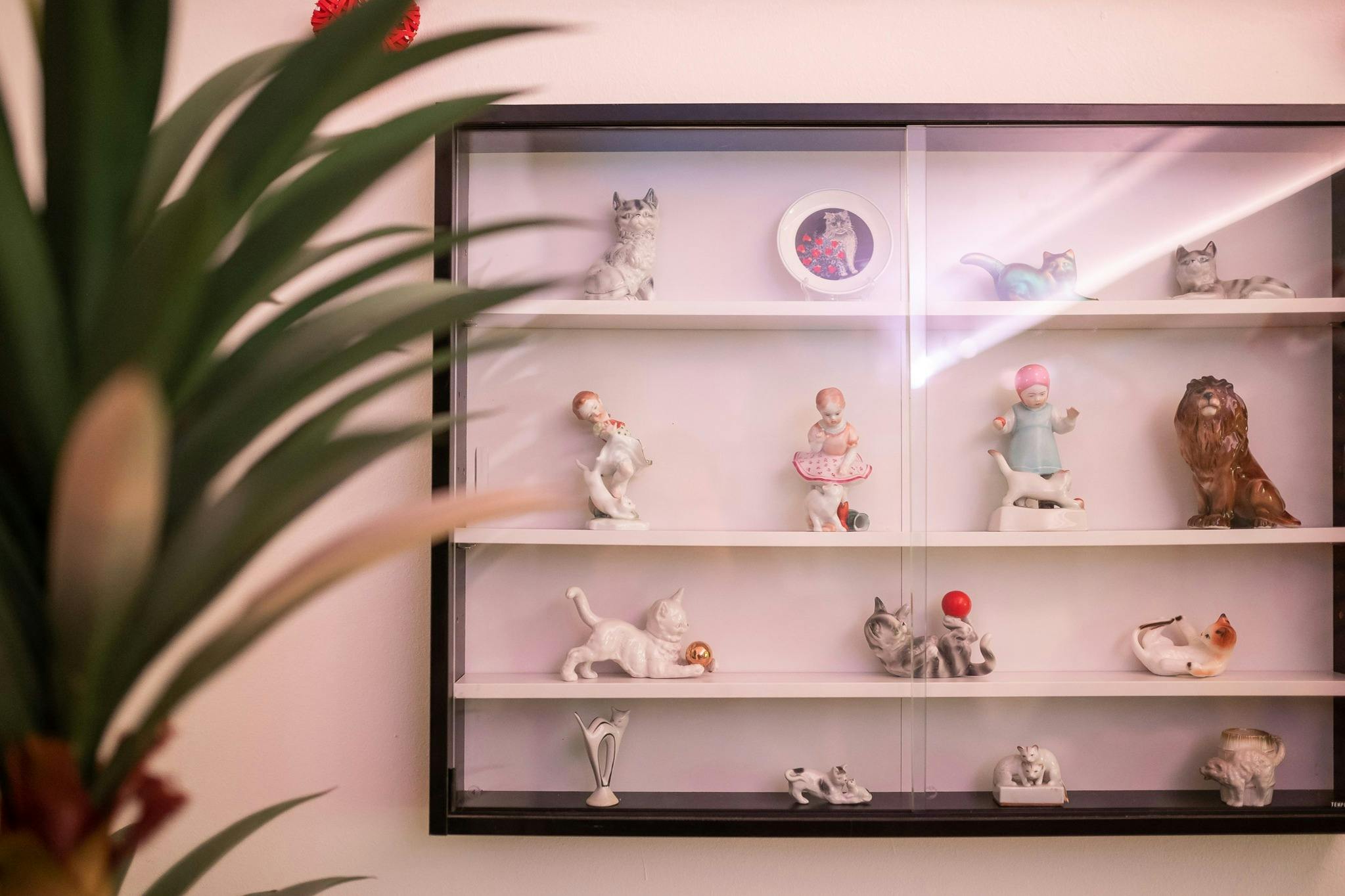 Porcelain collection