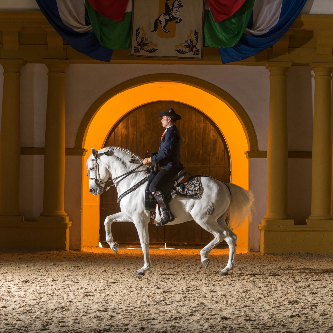 Royal Andalusian School of Equestrian Art: Full Visit - Accommodations in Jerez de la Frontera