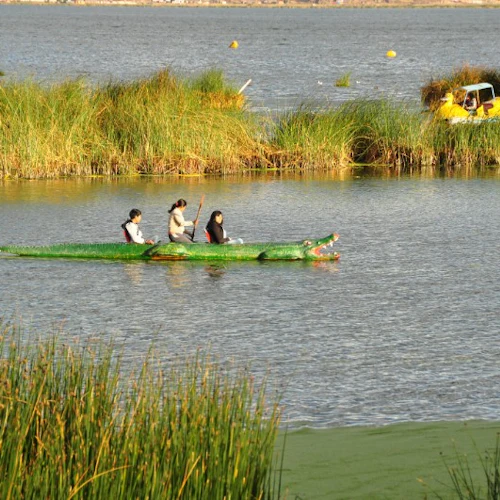 Excursão de 1 dia ao Lago Titicaca a partir de Puno - Photo 8