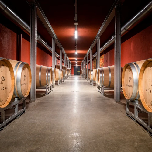 Cantina Moscone: Winery Tour and Tasting - Photo 7