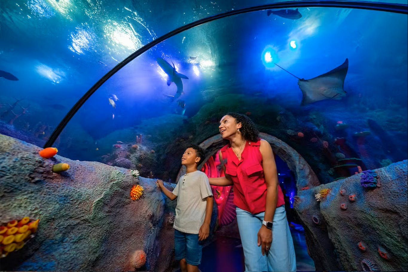 A woman and a child inside an underwater tunnel in an aquarium, looking up at fish and rays swimming above.