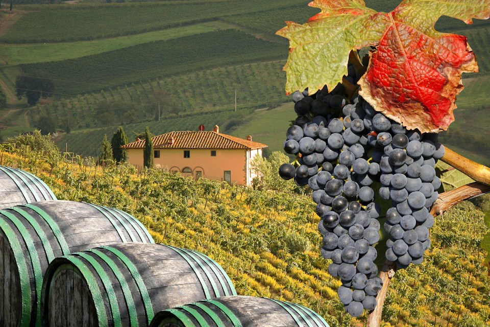 CHIANTI AFTERNOON TOUR