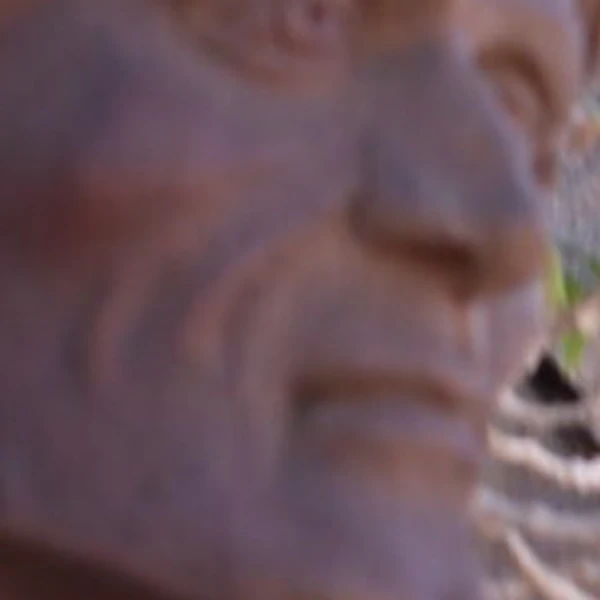 Cambridge Geesten tour