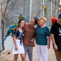 Maleny Botanic Gardens & Bird World: Entry Ticket