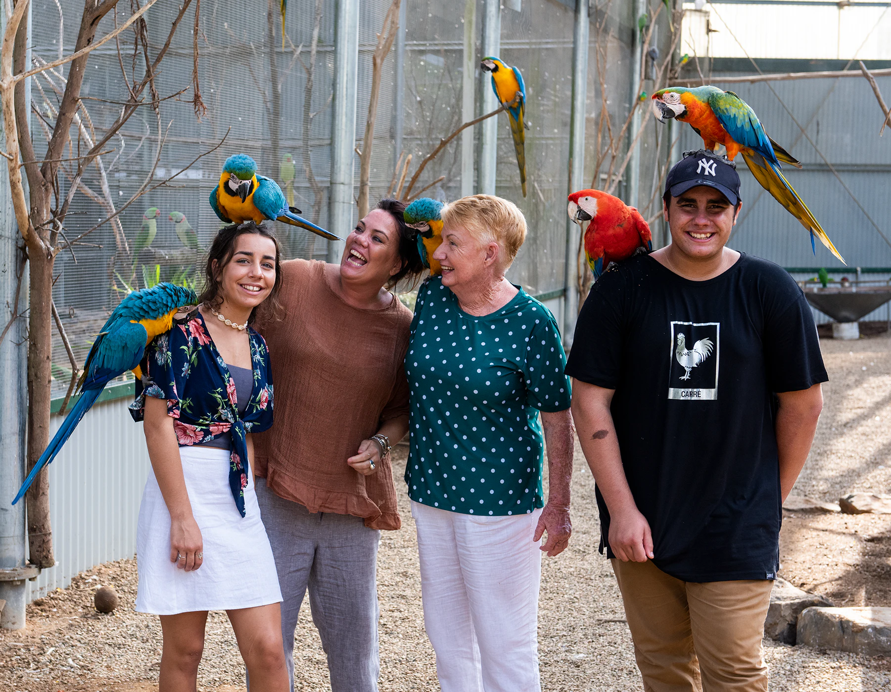 Maleny Botanic Gardens & Bird World: Entry Ticket