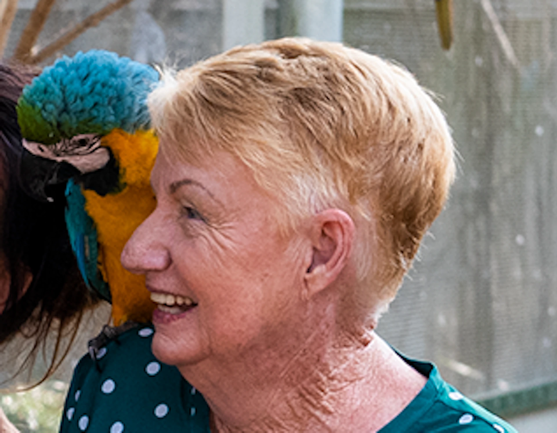 Four people smiling and interacting with colorful parrots perched on them in a netted outdoor aviary.