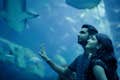 Dubajské akvárium a podvodní zoo - dokonalý zážitek