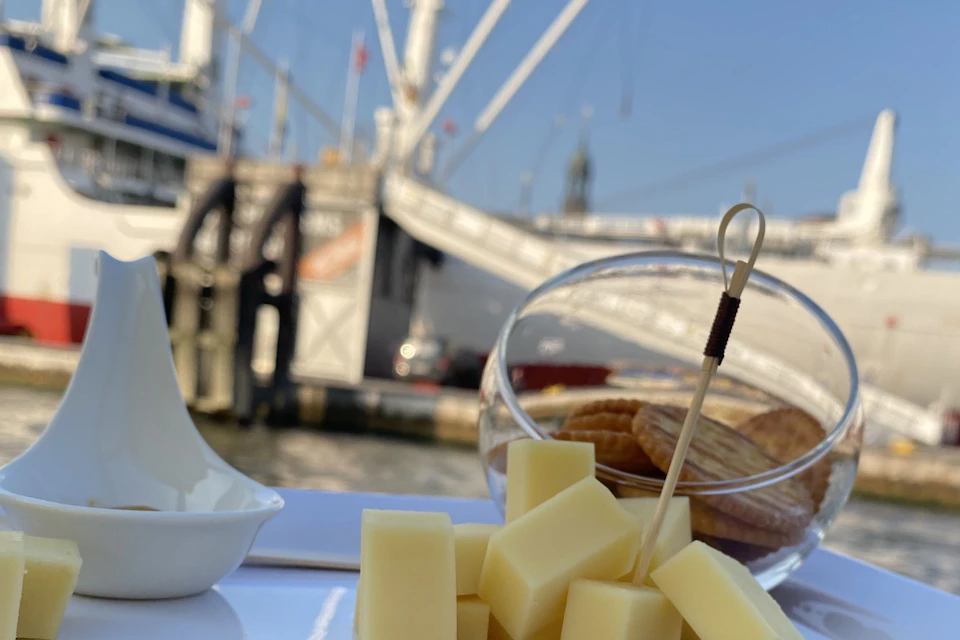 Pleasure harbor cruise