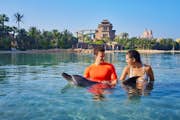 Atlantis The Palm - Εμπειρίες με δελφίνια