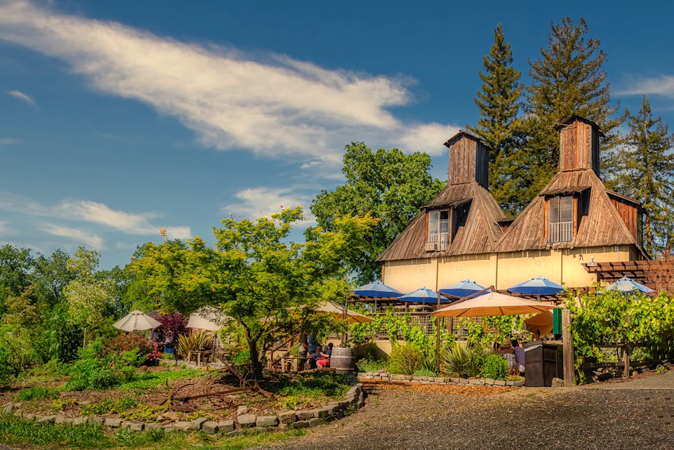 Full Day Wine & Woods Tour