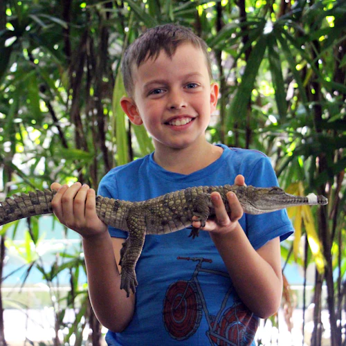 Wildlife Habitat Port Douglas - Photo 8