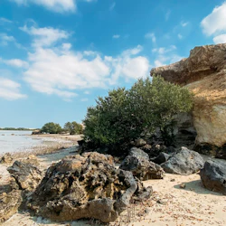 North Qatar: Private Tour 2