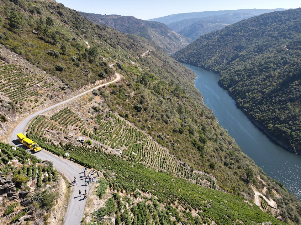 Aerial view of a vineyard on a hillside next to a winding river, with a road and a few people visible.