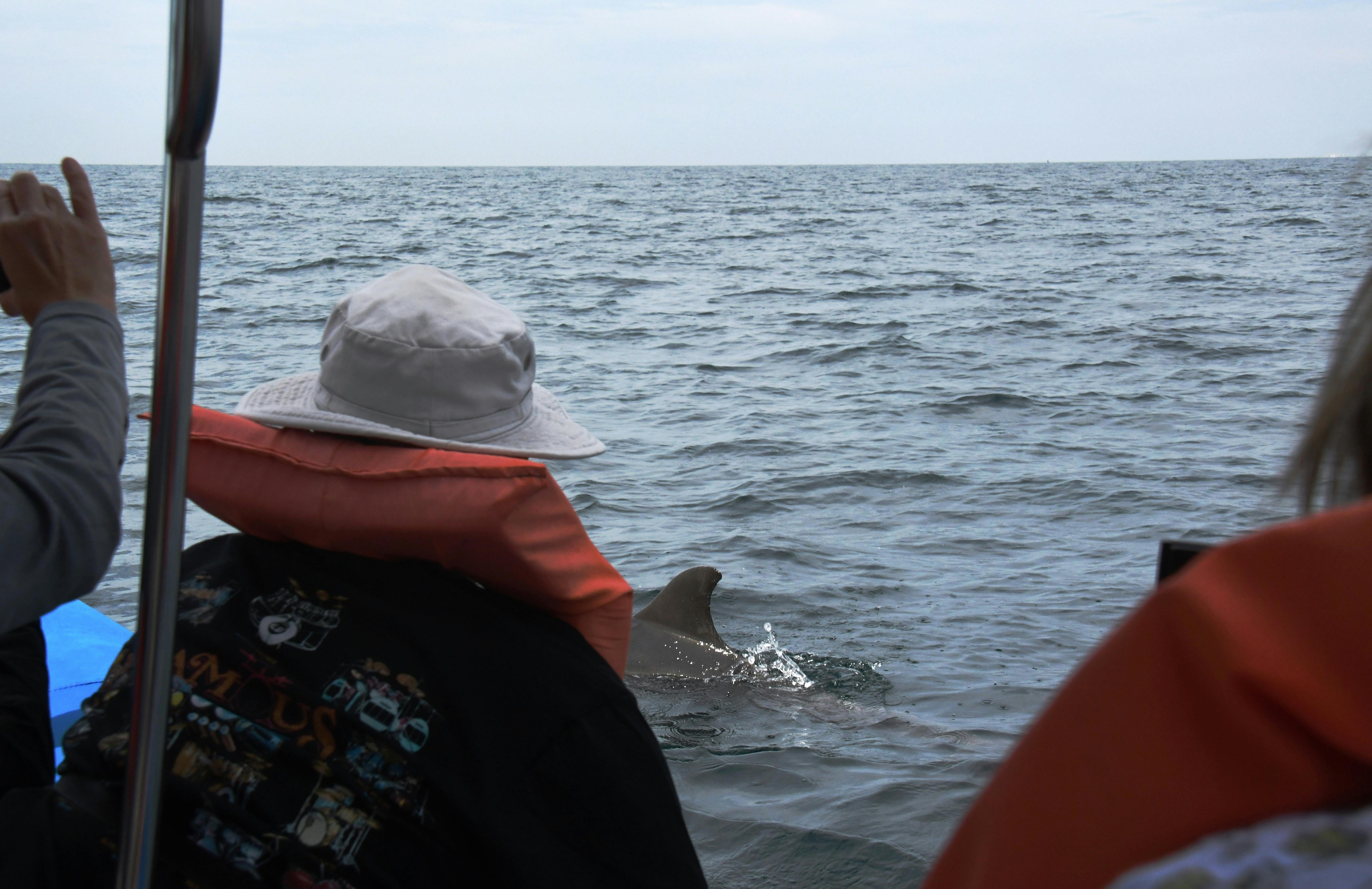 표면 근처에 돌고래의 지느러미가 보이는 바다를 바라보는 모자와 구명조끼를 입은 사람.