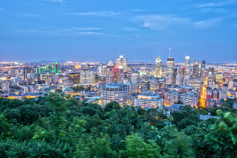 Cityscape at dusk featuring numerous lit-up skyscrapers, green foreground foliage, and a partly cloudy sky.