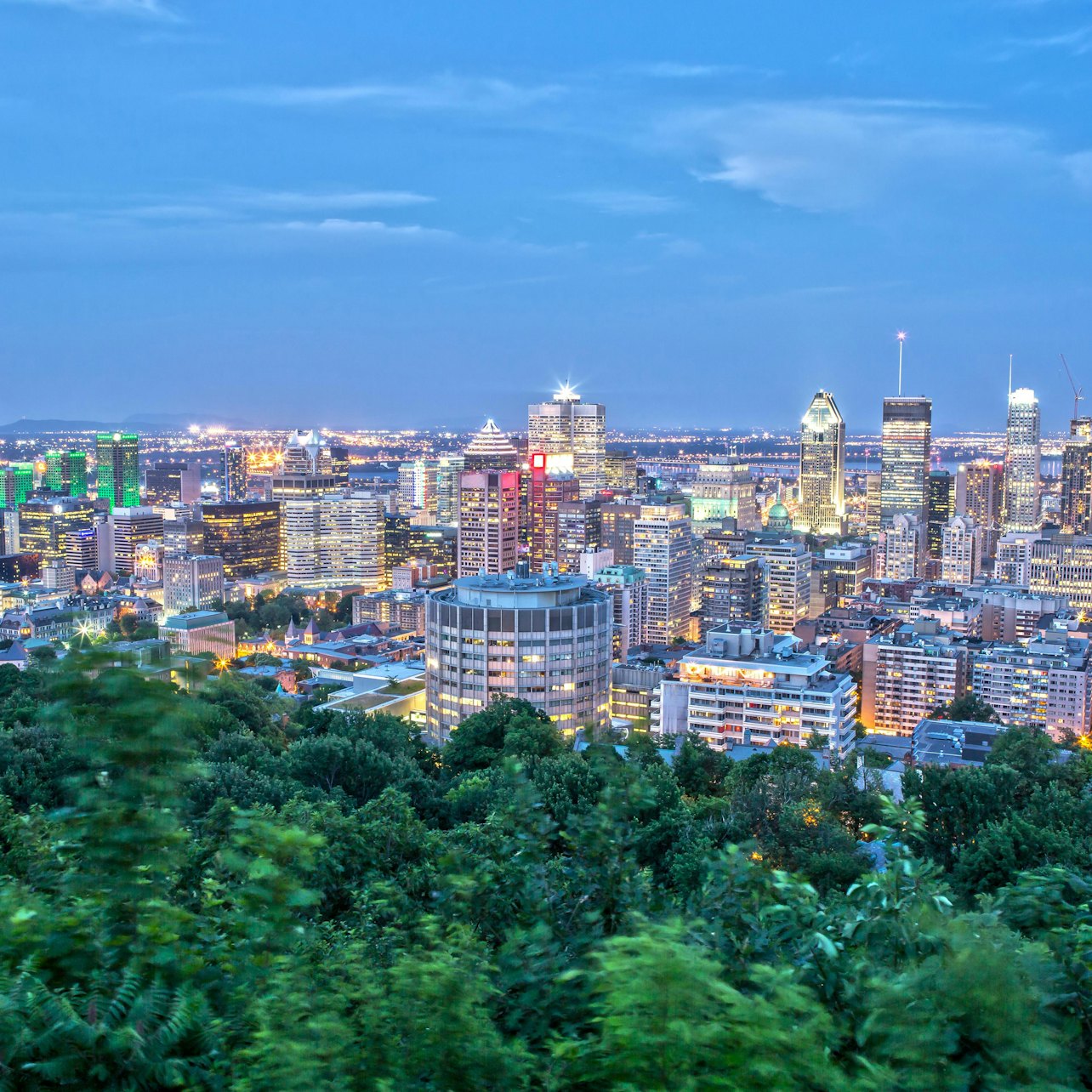 Tour panoramico notturno di Montreal con ingresso a La Grande Roue de Montreal - Alloggi in Montreal