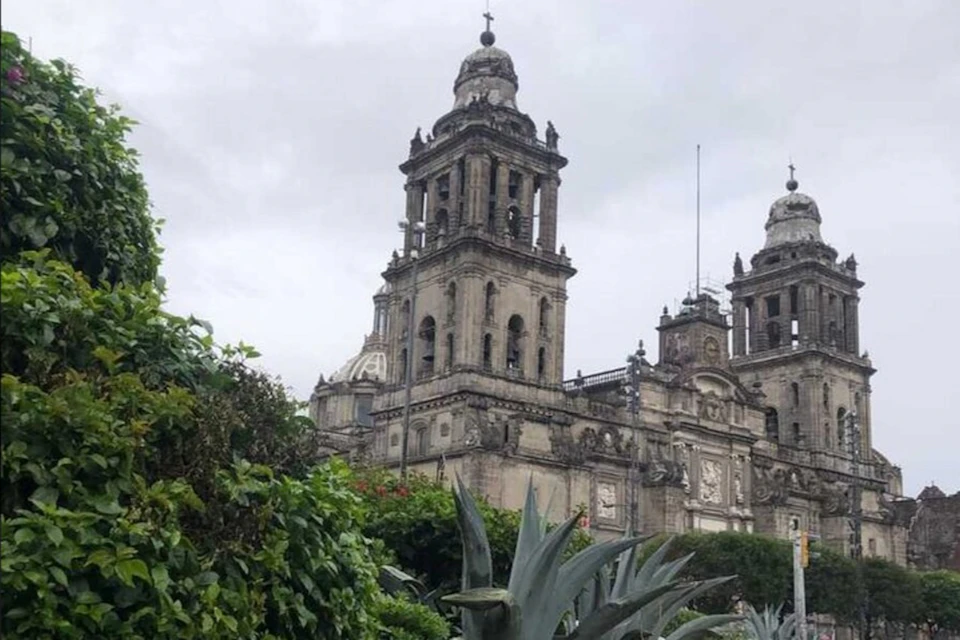 Historic stone cathedral towers rise behind lush green plants under a cloudy sky.