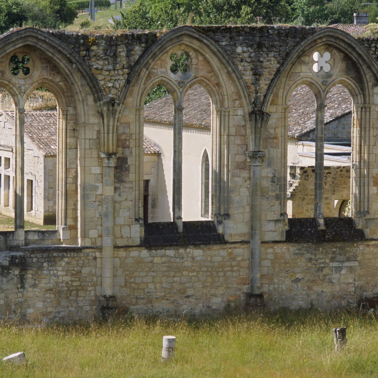 Slider Image