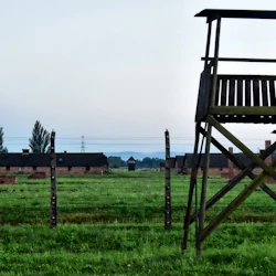 Auschwitz-Birkenau & Wieliczka Salt Mine: Guided Tour + Transport 2