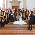 Orquestra de Wiener Hofburg